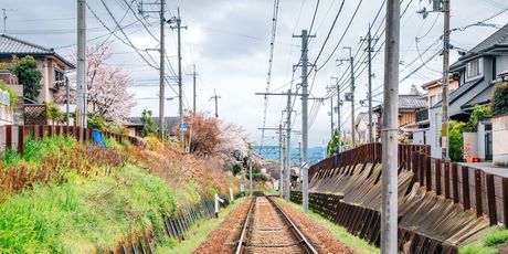 Japan - 2