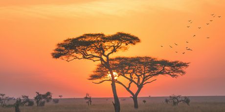 Tanzanija