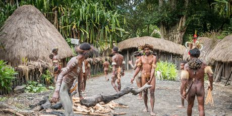Dani tribe - 21