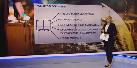 Video-zid Romine Knežić o Marakeškom sporazumu (Foto: Dnevnik.hr) - 2