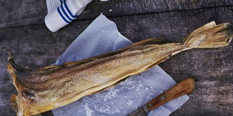 Bakalar
