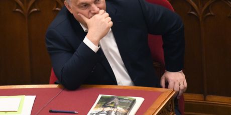 Vikotr Orban (Foto: AFP)