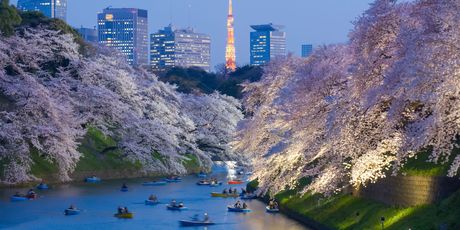 Tokio
