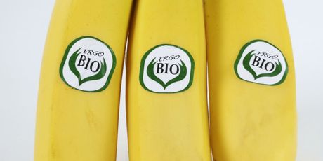 Banane