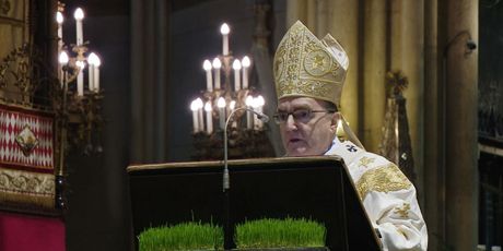 Zagrebački nadbiskup kardinal Josip Bozanić (Foto: Dnevnik.hr)