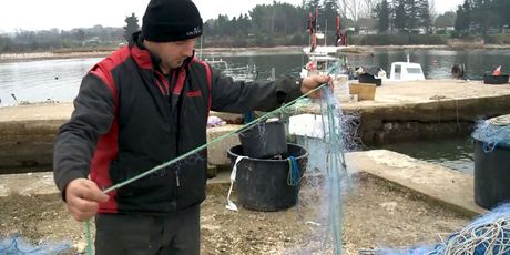 Ribar Savudrijske uvale Marko Fusić drži oštećenu mrežu za ribu (Foto: Dnevnik.hr)