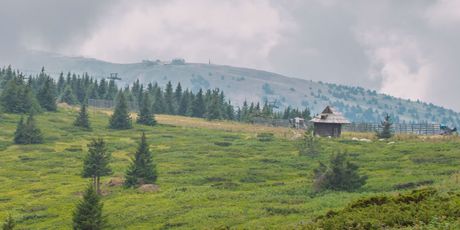 Kopaonik