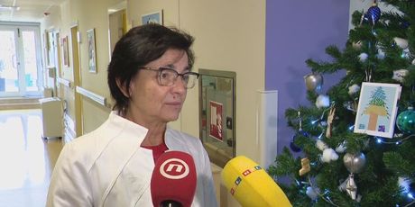 prof.dr. Jelena Roganović