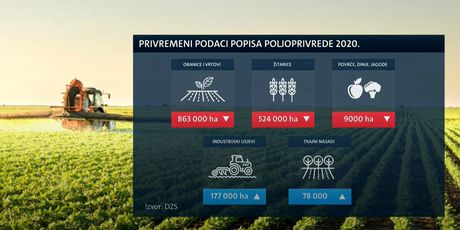 Hrvatska poljoprivreda je nedostatna - 6
