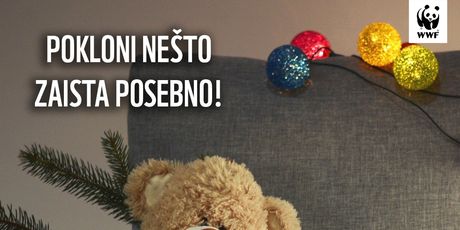 Dar za spas ugroženih životinja - 3