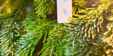 Božićno drvce Kate Beckinsale - 2