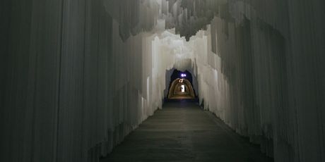 Polarni san - 1
