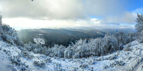 Vrh Papuk (953 m)
