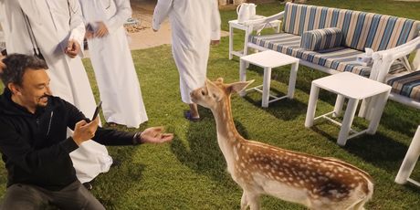 Snimatelj Nove TV Dejan Tatomir hrani srndaća