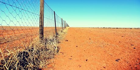 Australija - 3