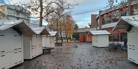 Advent na Savi
