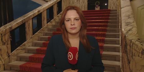 Petra Buljan, novinarka