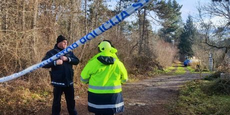 Željeznička nesreća u Sloveniji na prijelazu Rakitnik - 2