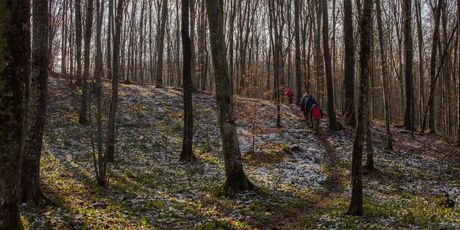 Hiking na Papuku