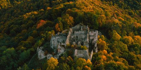 Ružica grad