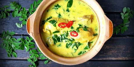 Moringa - 1