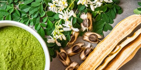 Moringa - 4