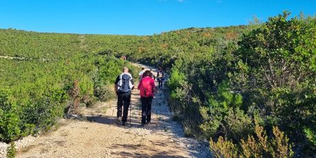 Camino Korčula - 11