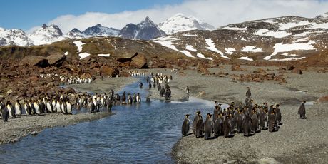 Kerguelen - 1