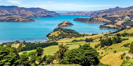 Novi Zeland - 4