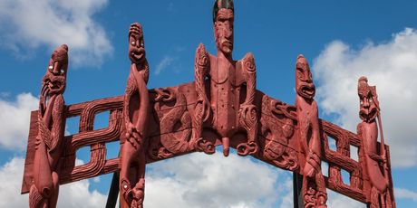 Maori - 12