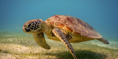 Mayotte - 3