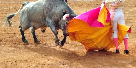 Plaza de Toros México - 7