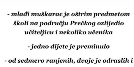 Poznati o tragediji u Prečkom - 3