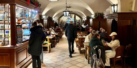 Hofbräuhaus München - 1