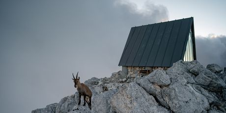 Planinarsko sklonište u sjećanje na Lucu Vuericha u Julijskim Alpama - 1