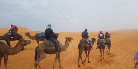 Sahara - 4