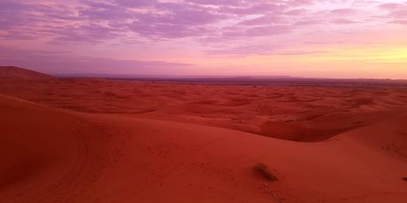 Sahara - 6