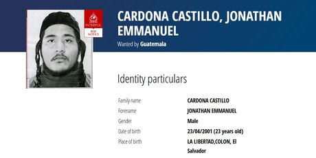 Interpolova tjeralica za Jonathanom Emmanuelom Cardonom Castillom