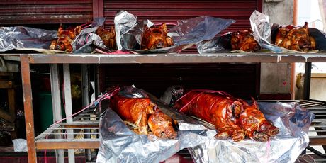 Lechon - 2