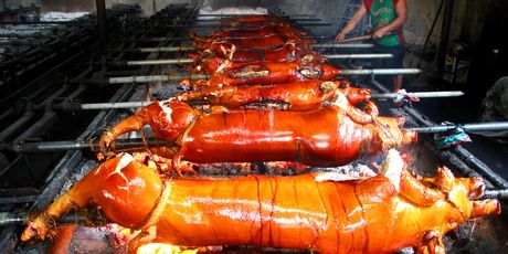Lechon - 3