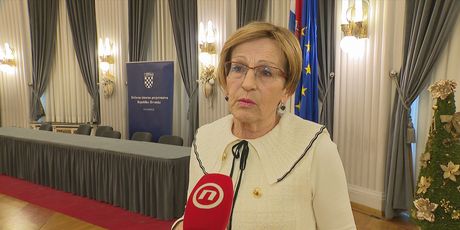 Vesna Fabijančić Križanić, potpredsjednica DIP-a