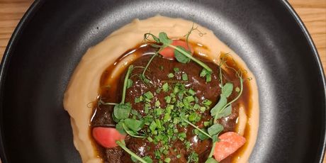 Cynic u Martićevoj - 19