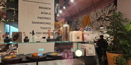 Cynic u Martićevoj - 20