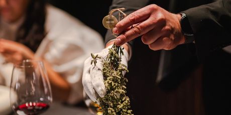 Harry’s Piccolo u Spinnakeru - 7