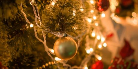 In Magazin: Poznati i kićenje - 5