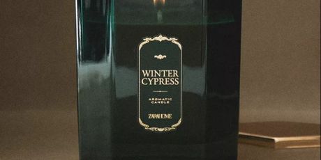 Zara – Winter Cypress