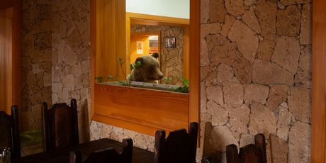 Luka Dubroja: The Gaze - 1