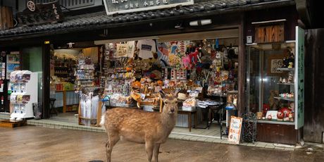 Luka Dubroja: The Gaze - 2