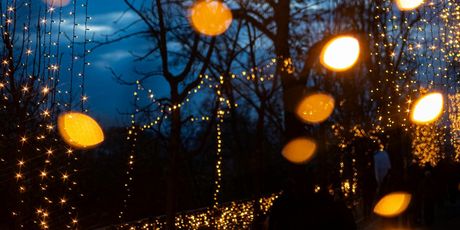 Mjesečev vrt na Strossmayerovom šetalištu - 1