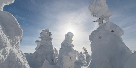 Snježna čudovišta - 6